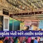 Dang Sonuniya Neemastra Natural Farming Training KVK Waghai 1