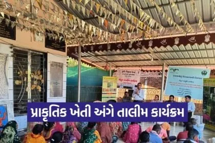 Dang Sonuniya Neemastra Natural Farming Training KVK Waghai 1
