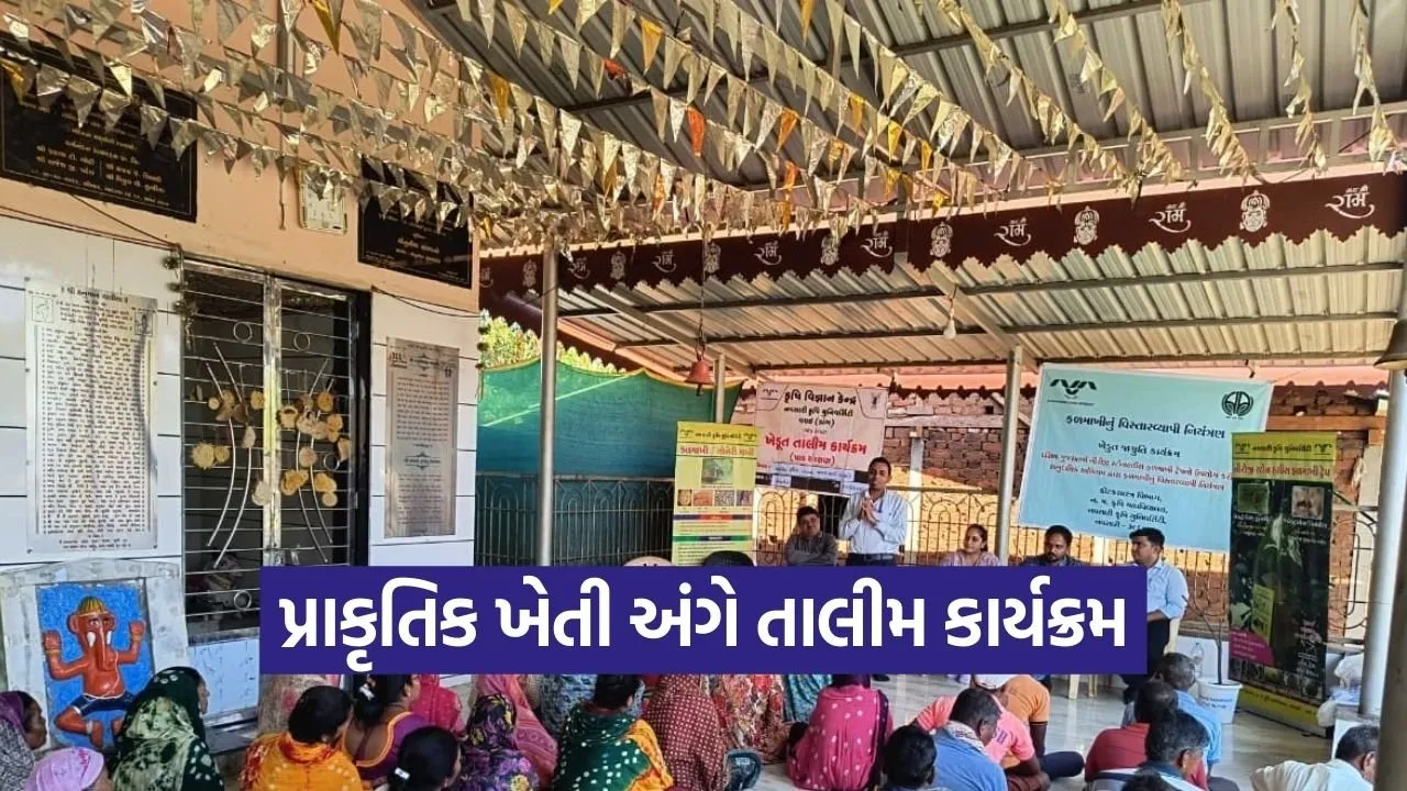 Dang Sonuniya Neemastra Natural Farming Training KVK Waghai 1.jpg