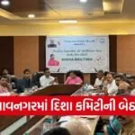 Bhavnagar DISHA Committee Meeting Nimu Bambhaniya 1