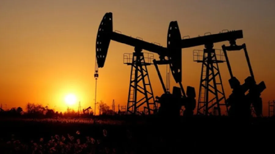 oil9.jpg