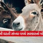 INDIA 1 2026 03 07T144626.784
