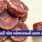 dharmishtha 1 2026 03 07T145100.469