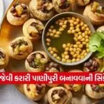 dharmishtha 1 2026 03 07T150129.600