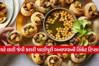 dharmishtha 1 2026 03 07T150129.600