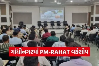 Gandhinagar PM RAHAT Road Accident Cashless Treatment Workshop 1