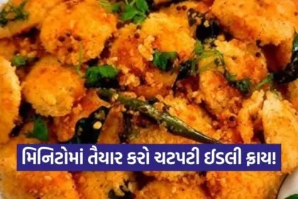 dharmishtha 1 2026 03 07T151355.661