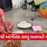 Vadodara Narmadpura Kesudo Organic Soap Women Self Help Group 1