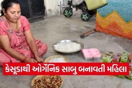 Vadodara Narmadpura Kesudo Organic Soap Women Self Help Group 1