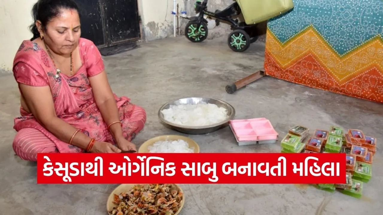 Vadodara Narmadpura Kesudo Organic Soap Women Self Help Group 1.jpg