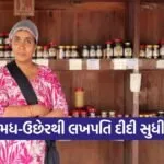 chikhli soladhra asmita patel sahyadri sakhi mandal success