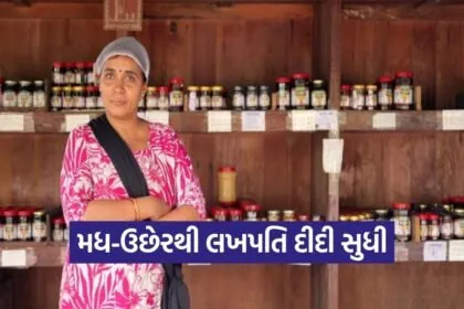 chikhli soladhra asmita patel sahyadri sakhi mandal success