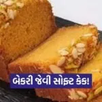 dharmishtha 1 2026 03 07T172030.323