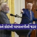 trump 0703
