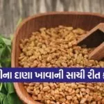 Fenugreek 0703