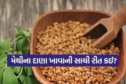 Fenugreek 0703