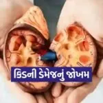 Kidney 0703