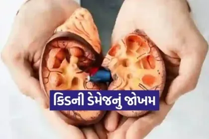 Kidney 0703