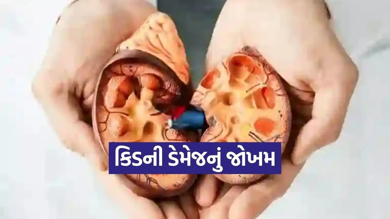 Kidney 0703.jpg