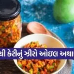zero oil pickle 0703
