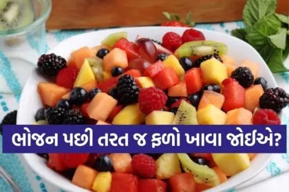 fruit 0903