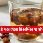 raisins 0903