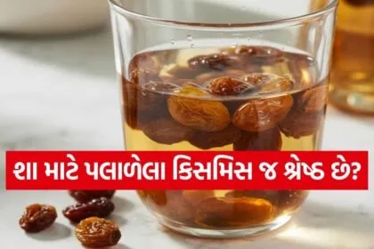 raisins 0903
