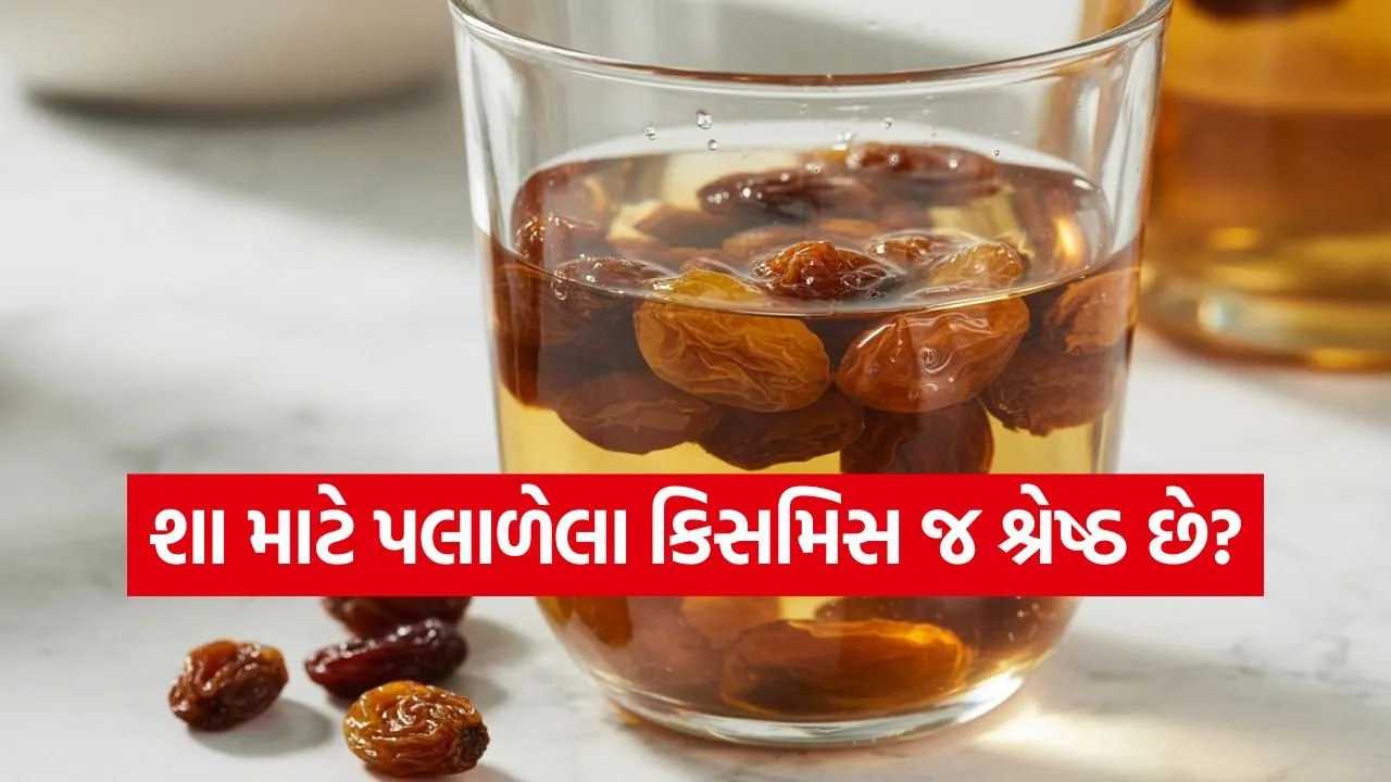raisins 0903.jpg
