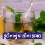 dharmishtha 1 2026 03 09T160739.818