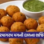 dharmishtha 1 2026 03 09T164428.166