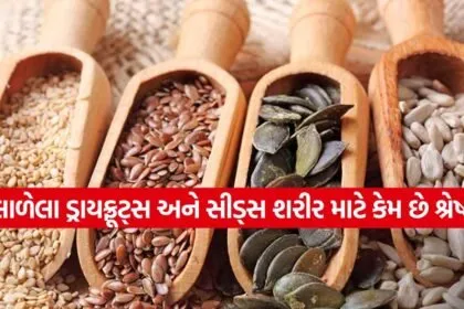 seeds 0903