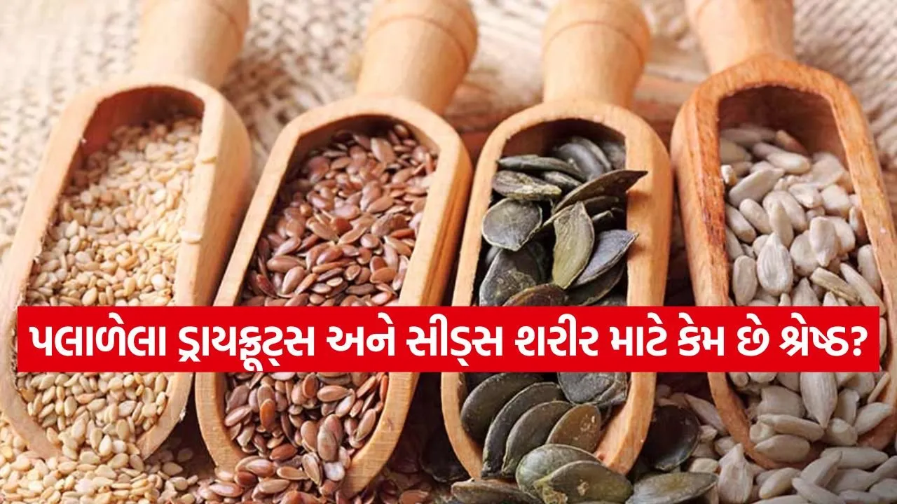 seeds 0903.jpg