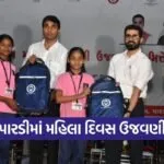 Valsad Pardi International Womens Day Women Felicitation Program