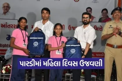 Valsad Pardi International Womens Day Women Felicitation Program