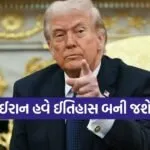 trump 1003