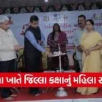 Morbi District Women Conference Sanala International Womens Day 1