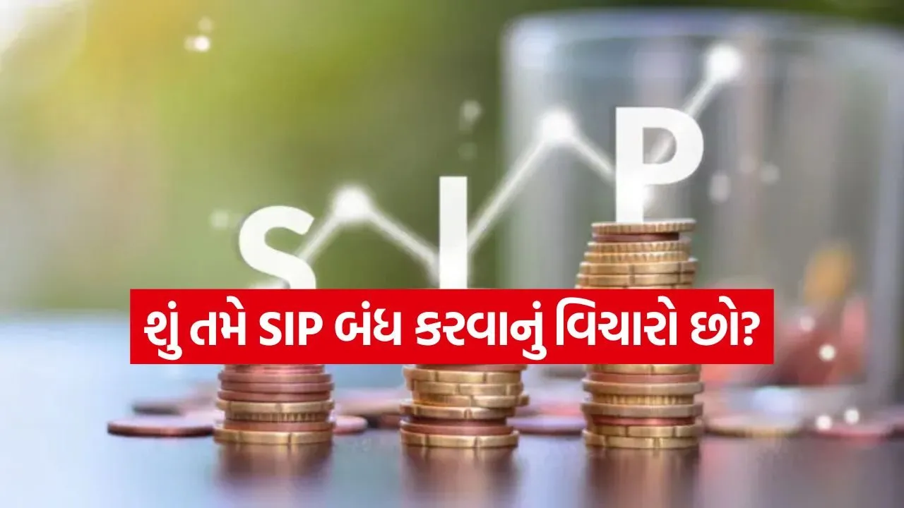 sip 1003.jpg