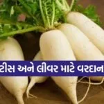 Radish 1003