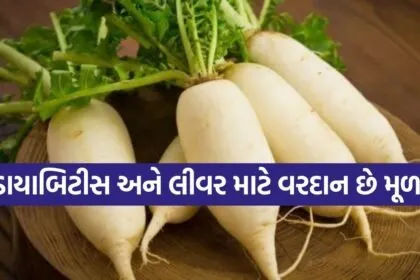 Radish 1003