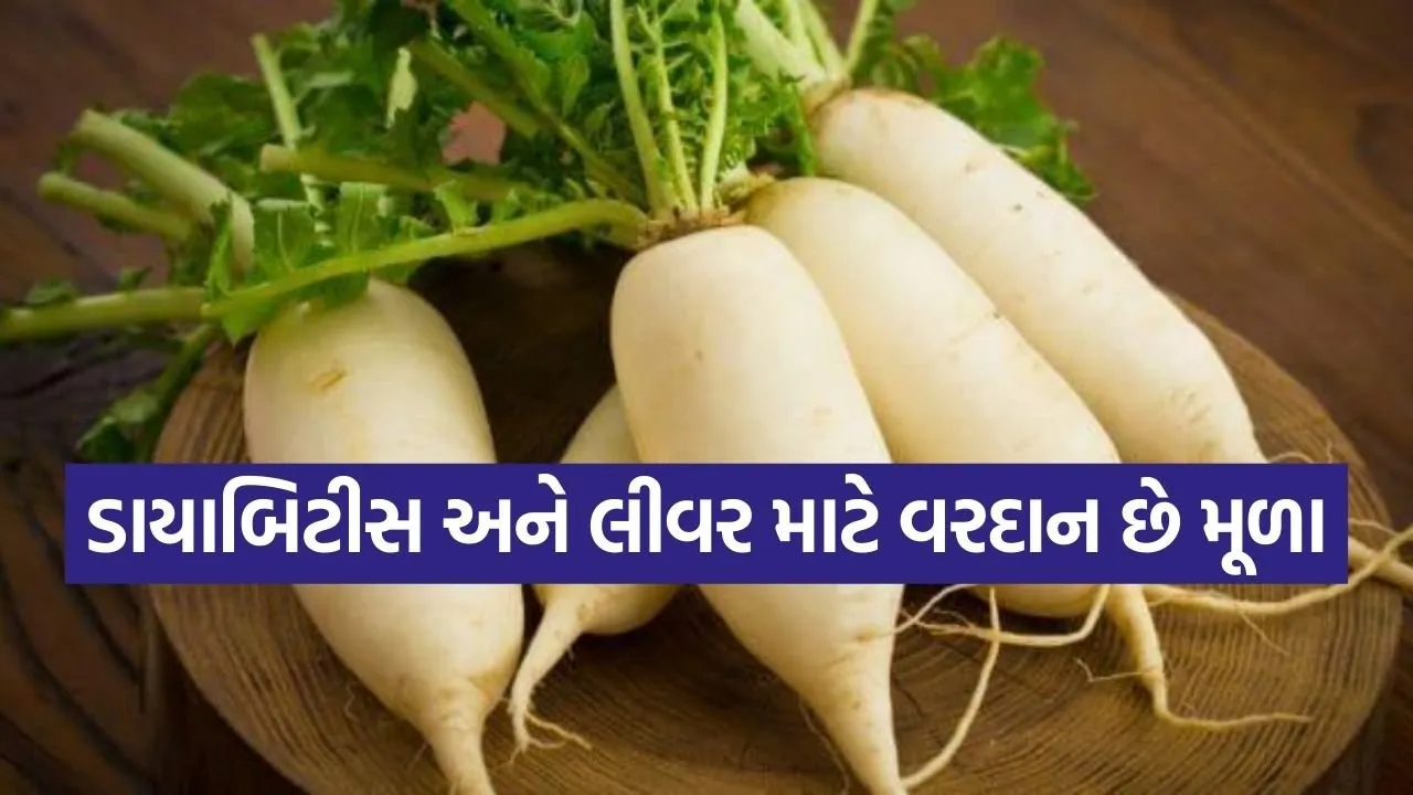 Radish 1003.jpg