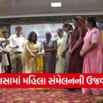 Aravalli Modasa International Womens Day Women Conference