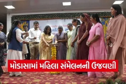 Aravalli Modasa International Womens Day Women Conference