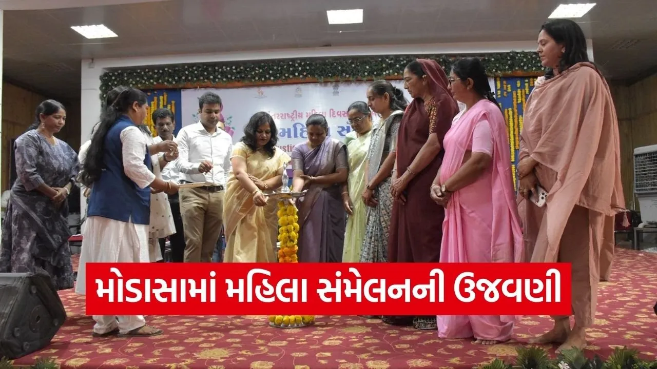 Aravalli Modasa International Womens Day Women Conference.jpg