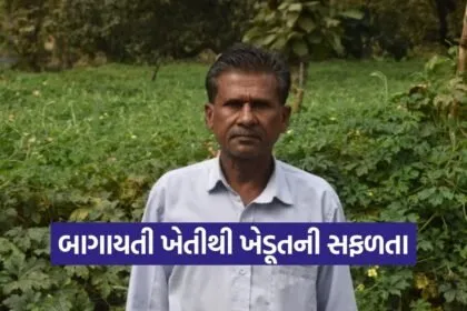 Dang Ambapada Farmer KashiRam Gavit Horticulture Success 1
