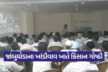 Jambughoda Khandivav Kisan Goshti Post Budget Webinar