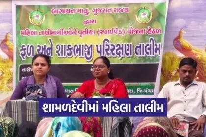 Godhra Kalol Shamaldevi Women Horticulture Value Addition Training