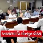 Anand Pre Monsoon Preparedness Meeting Praveen Chaudhary 1