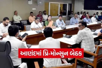 Anand Pre Monsoon Preparedness Meeting Praveen Chaudhary 1