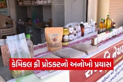 Mandvi Cow Based Natural Products Jignesh Limbani