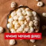 dharmishtha 1 2026 03 10T165543.195